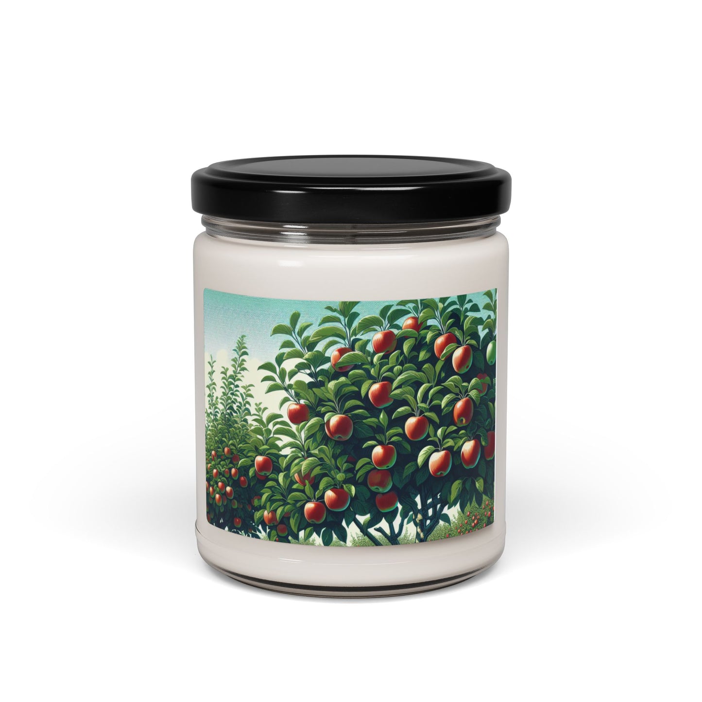 Scented Soy Candles, 9oz