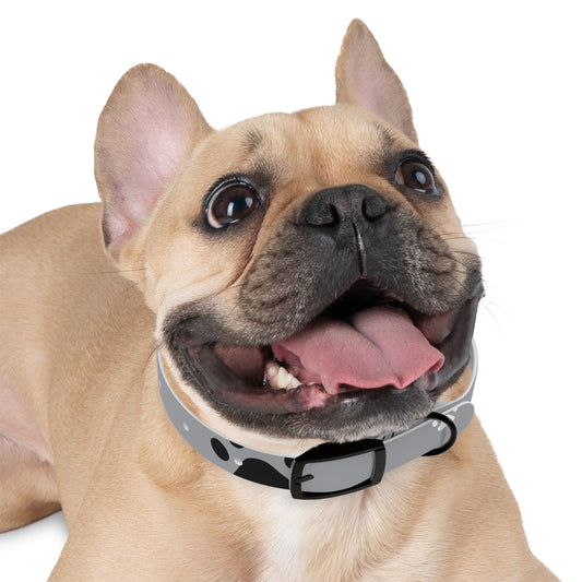 Dog Collar